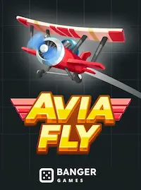 Avia Fly crash at F555 COM